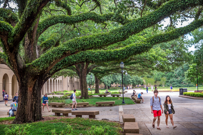 Admitted Freshman - Next Steps Students in Quad