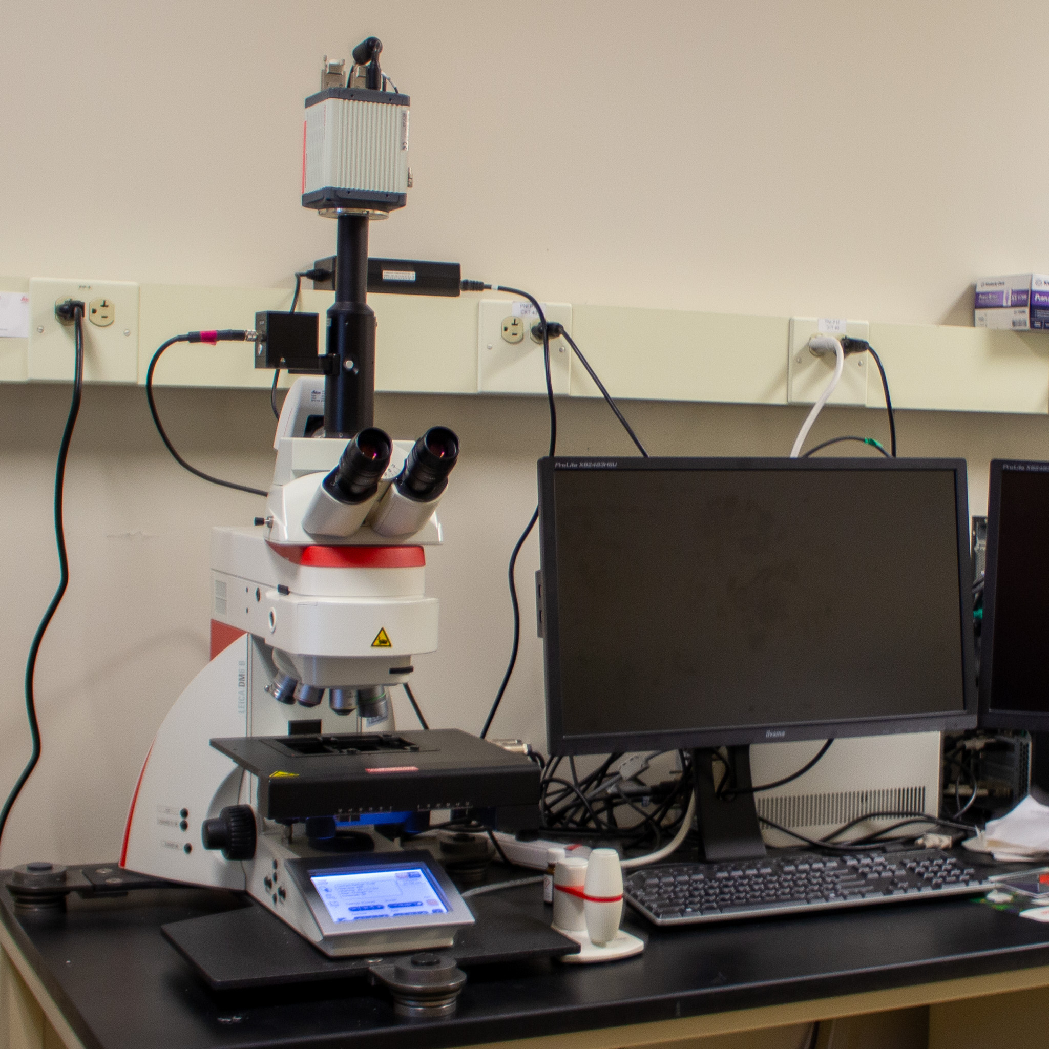 Leica DM6B microscope