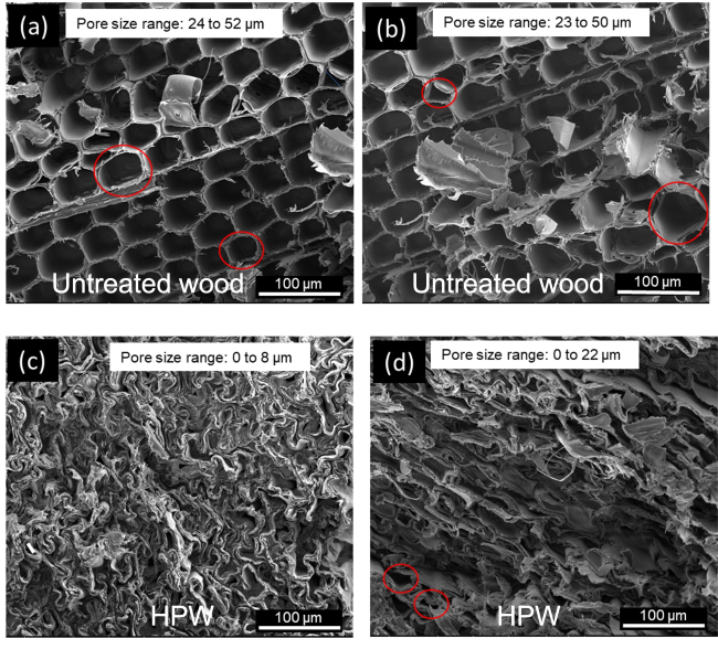 Endurawood microscopic view