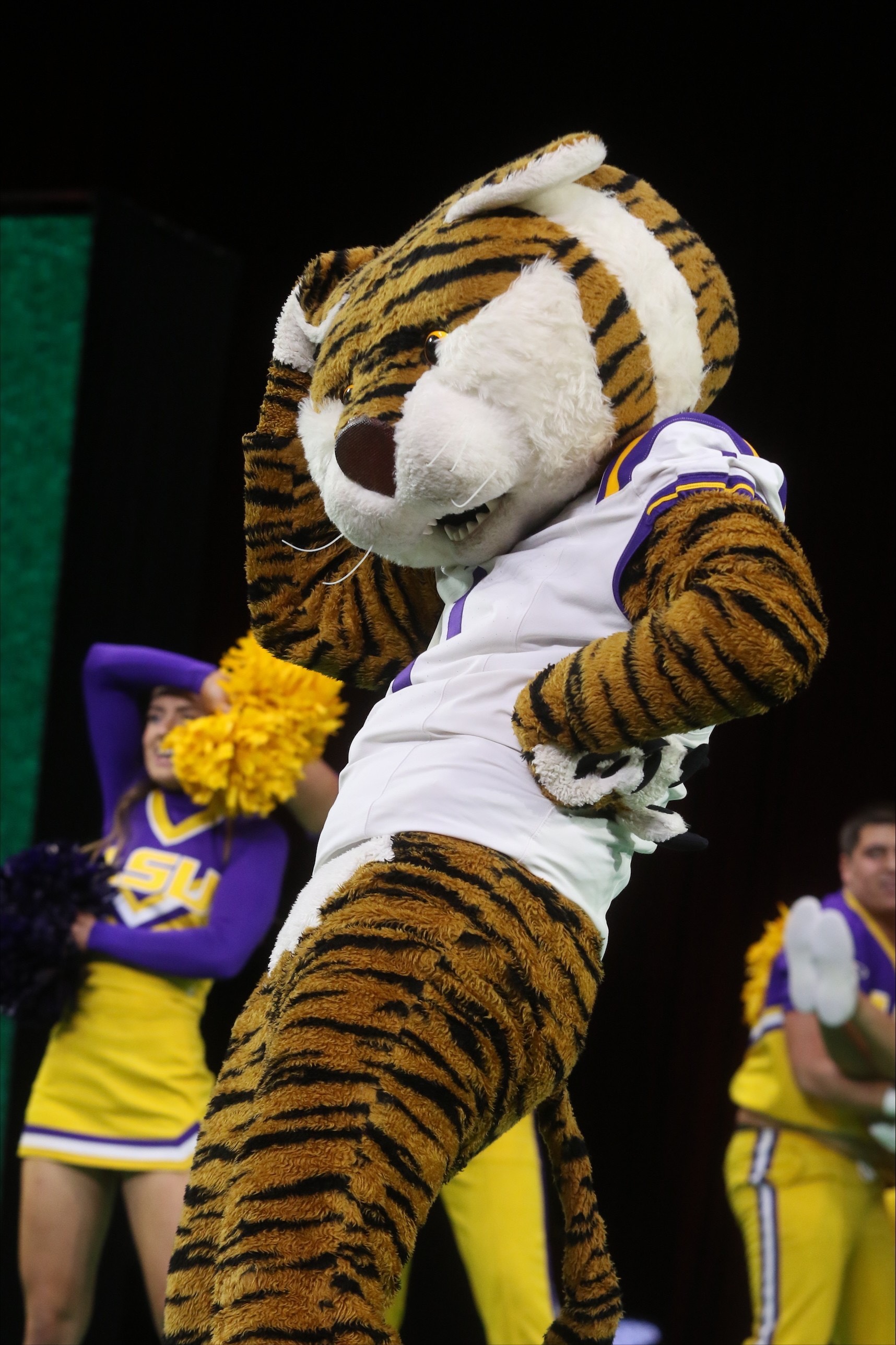 Mike the Tiger performs during a collegiate cheer and mascot competition appearance. Mike the Tiger performs during a collegiate cheer and mascot competition appearance.