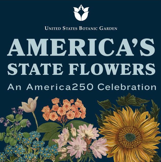 Graphic with floral imagery promoting the United States Botanic Garden exhibition, America's State Flowers: An America250 Celebration