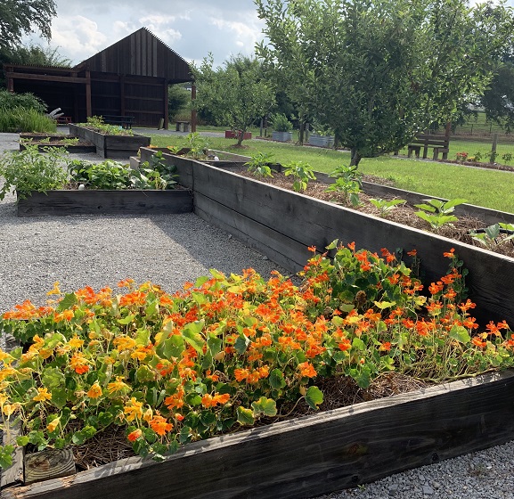 Children's Gardens