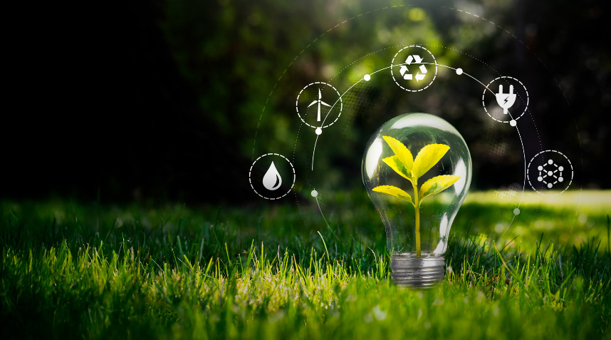 a lightbulb with a plant in it