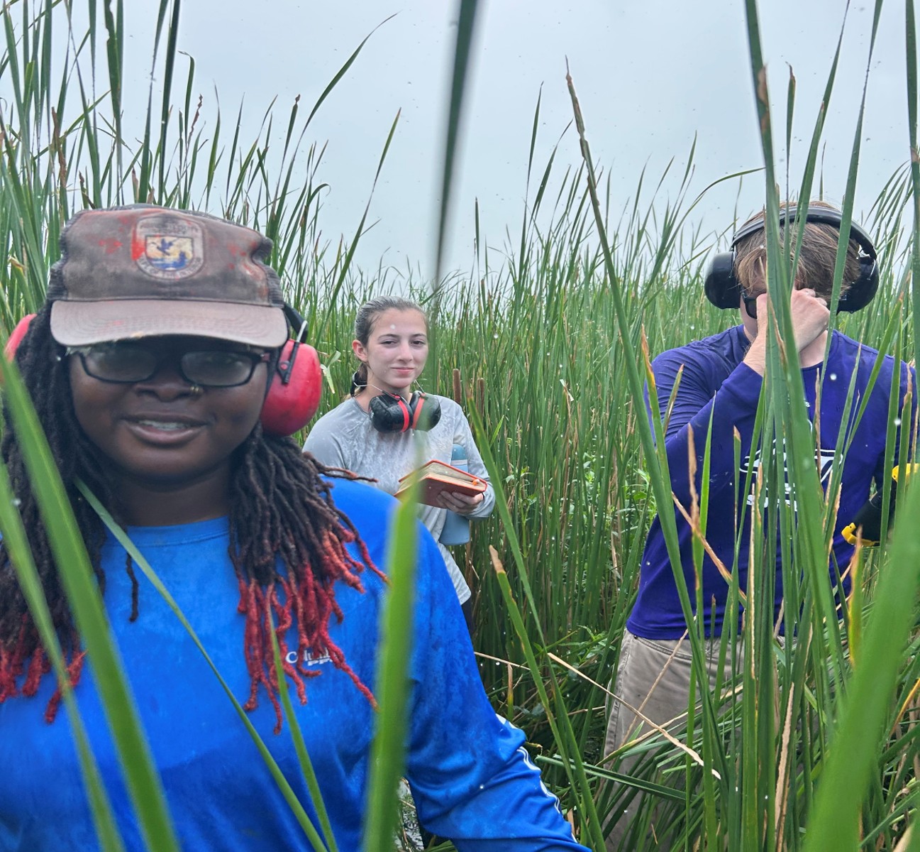 three scientists stand in tall marsh grass