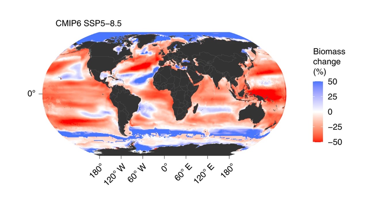 FishMIP projections a map of the globe with red over the majority of the Atlantic and Pacific oceans and blue around the poles