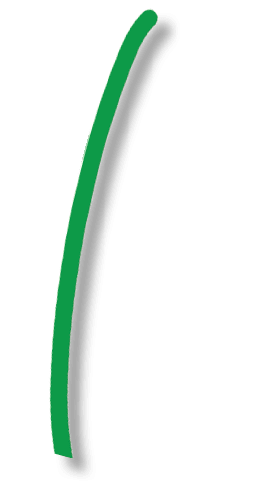stem 3