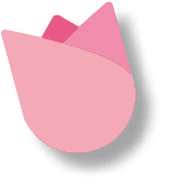 tulip 2