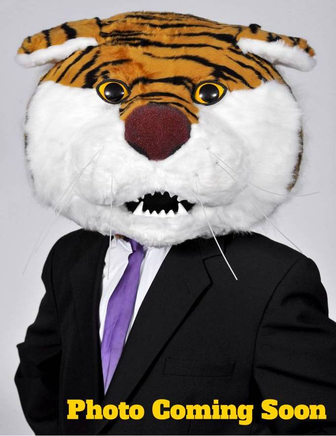 mike the tiger placeholder