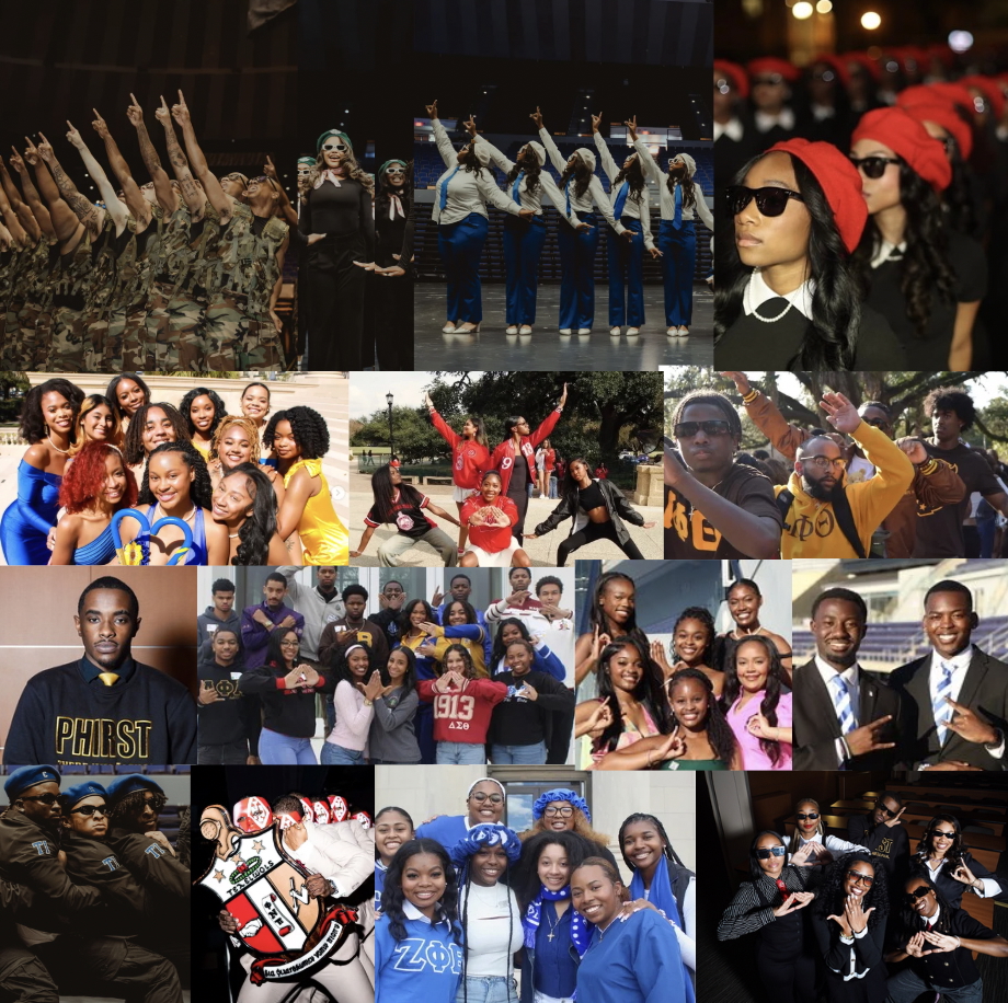 nphc members