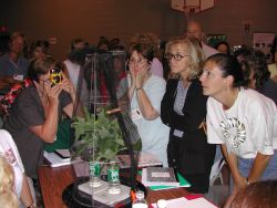 teachers looking at monarchs