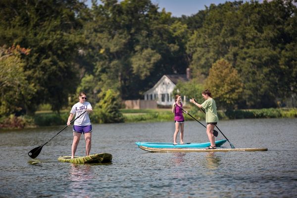 Students paddleboarding