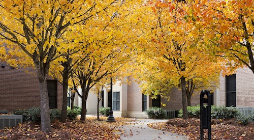 Photo of fall foliage outside of the East Campus Apartments