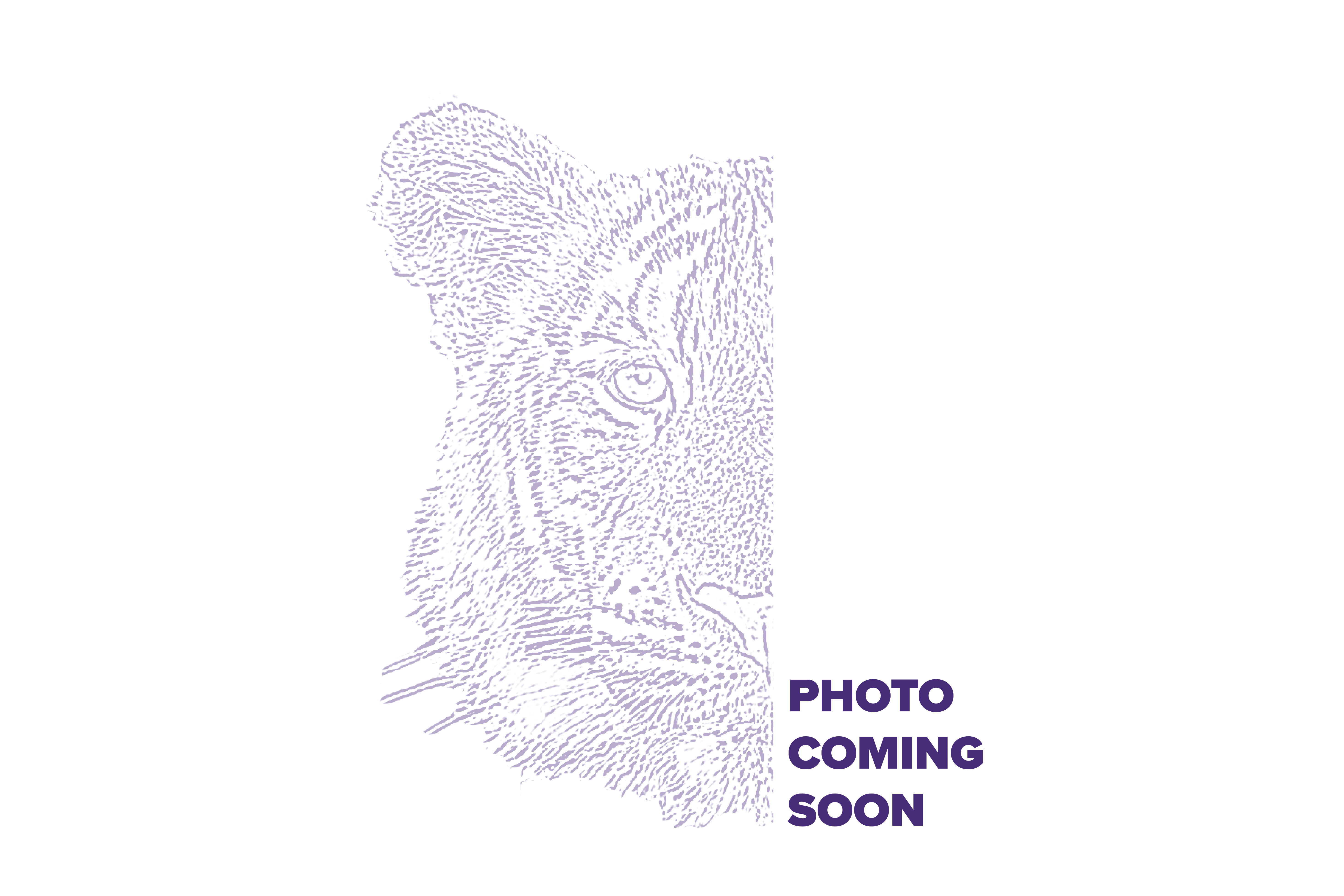 vacant position headshot
