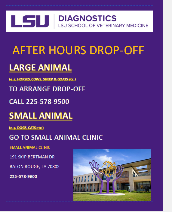 after hours image