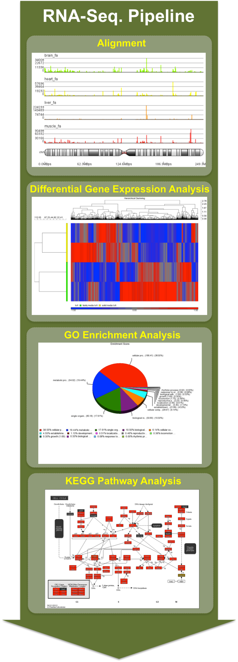 Gene Lab Image